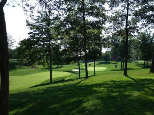 Muirfield Village 11th Trees